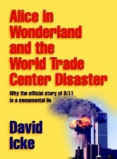 Okladka ksiazki alice in wonderland and the world trade centre disaster